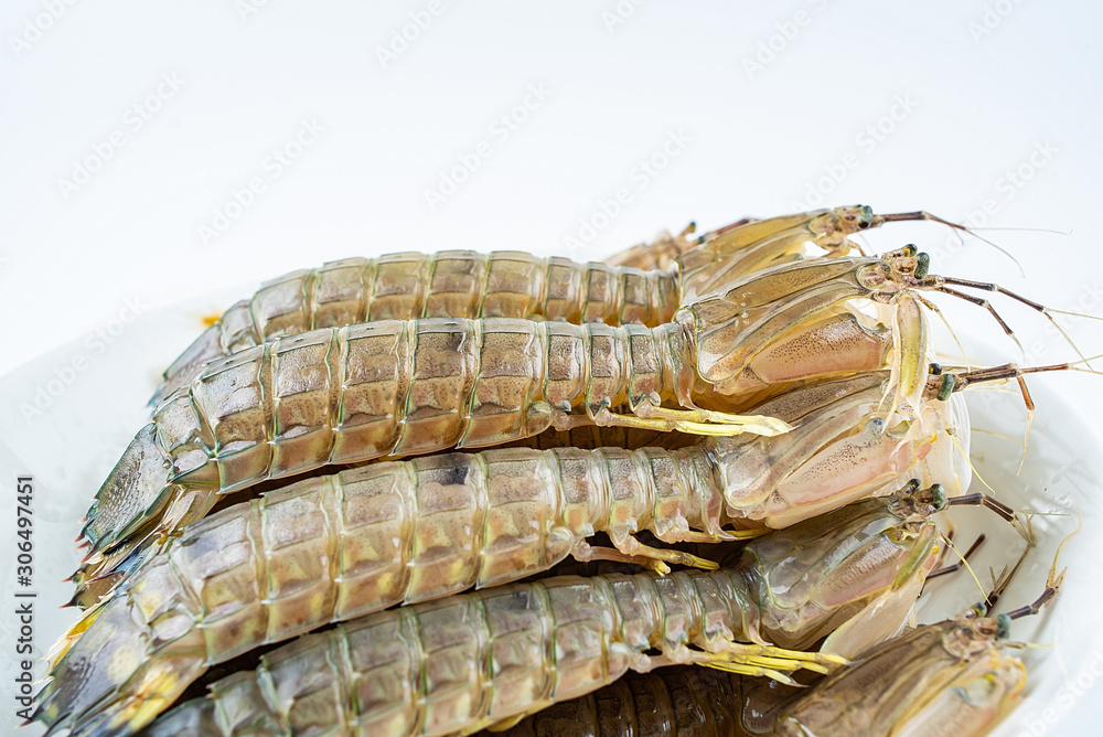 Fresh pip shrimp on a plate on white background