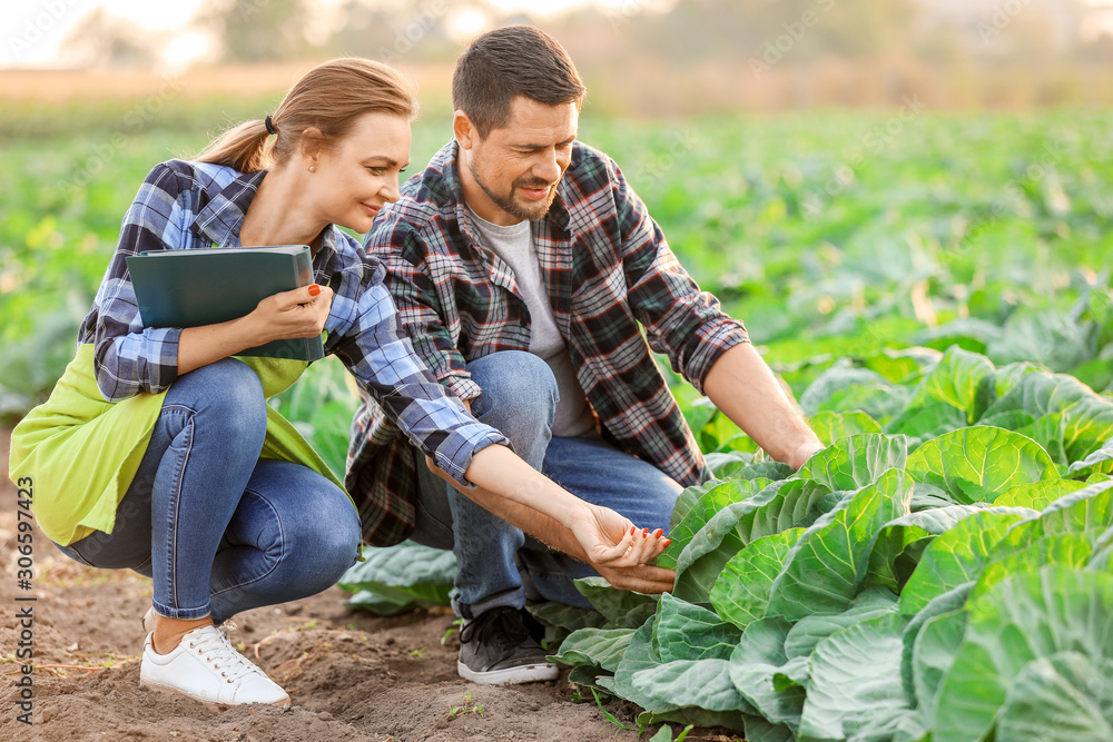 Agricultural engineers working in field