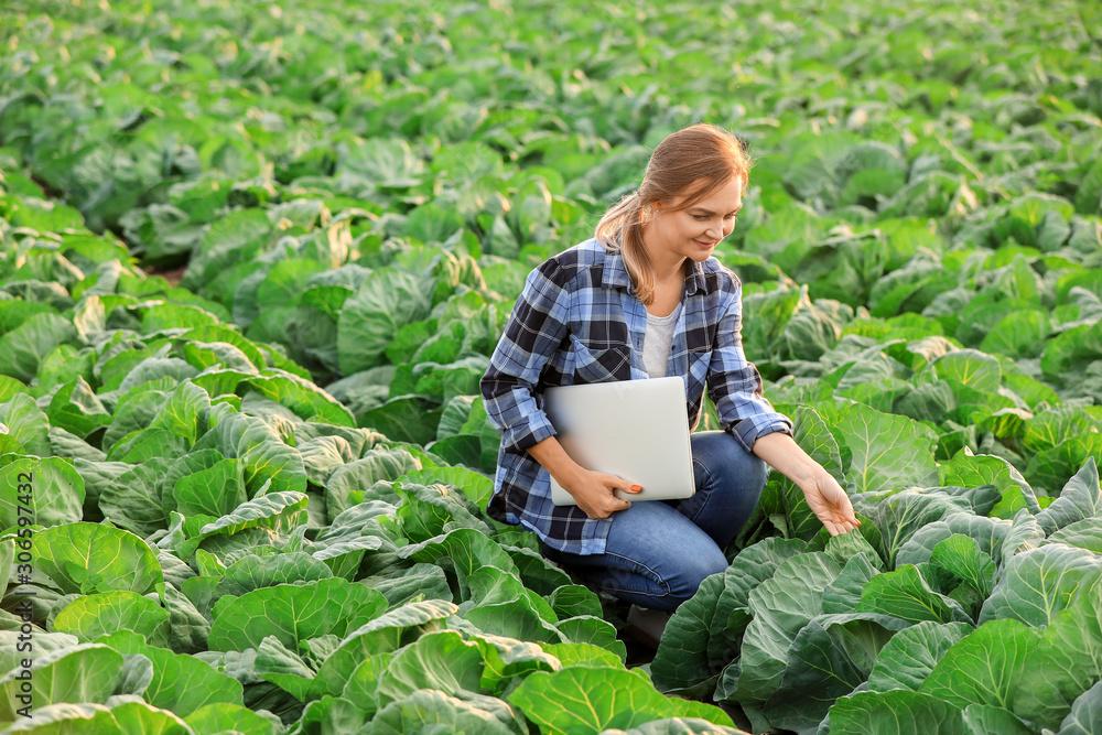 Female agricultural engineer working in field