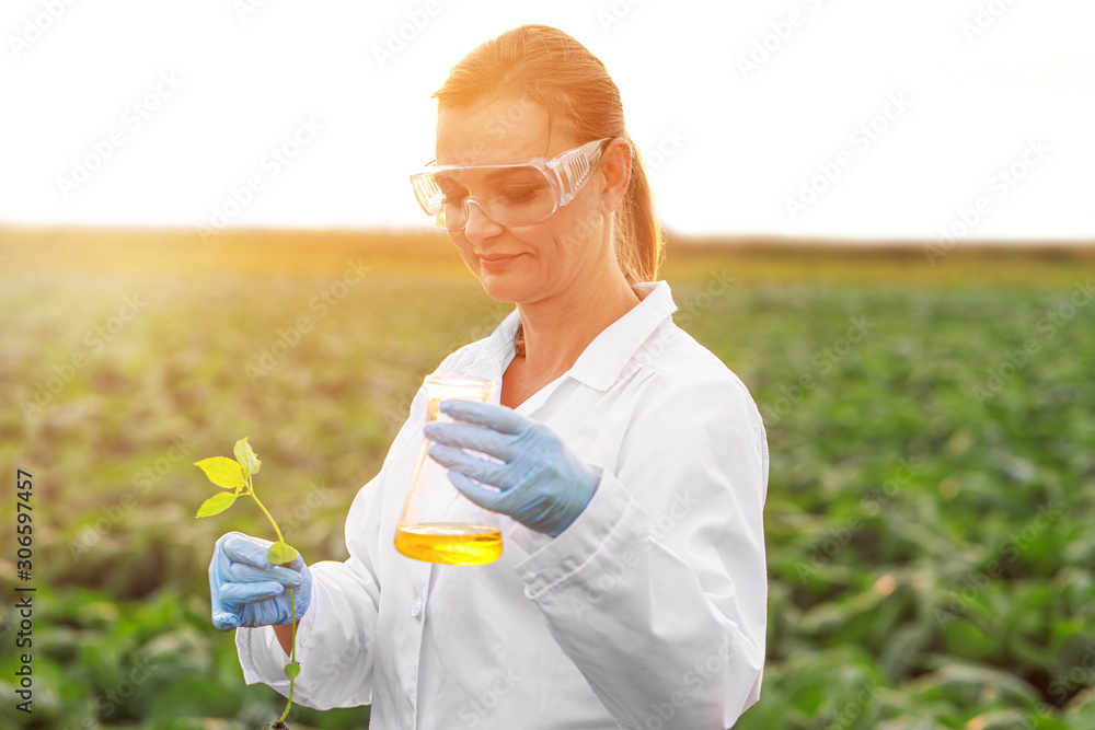 Female agricultural engineer working in field