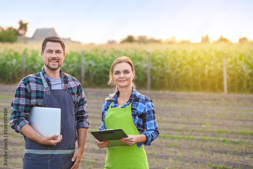 Agricultural engineers working in field