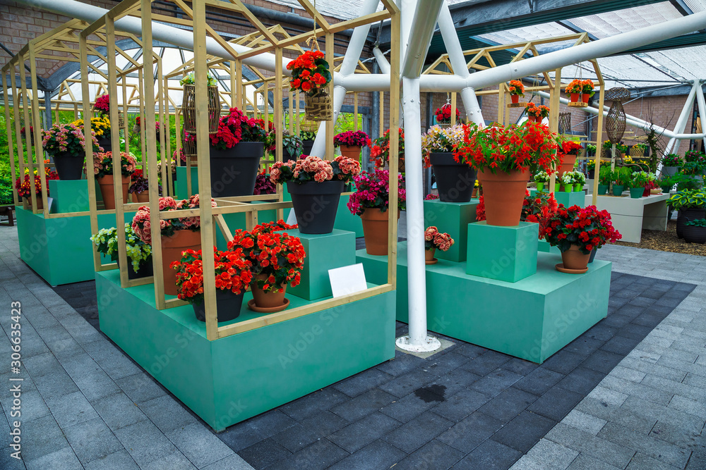 Wonderful rose flower exhibition in the decoration store, Netherlands