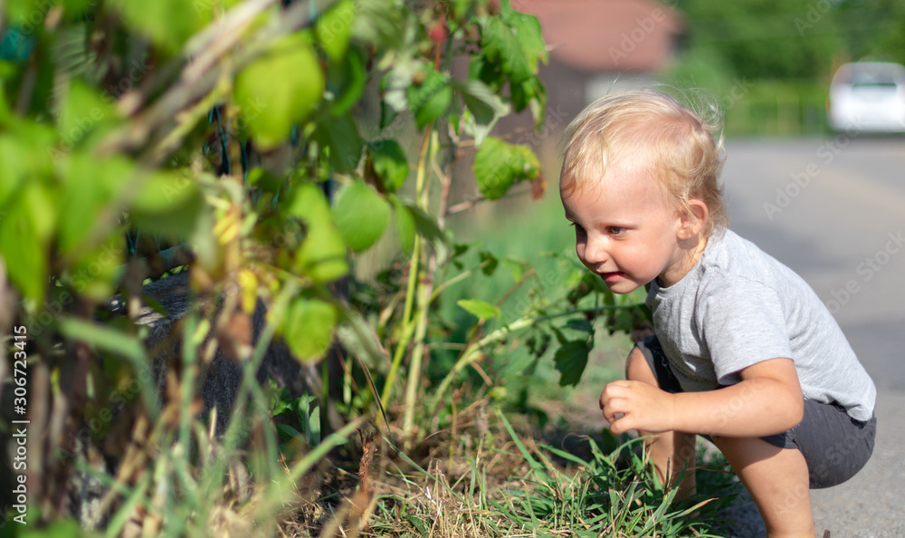 Small child boy looking at plants and seeking something in bush