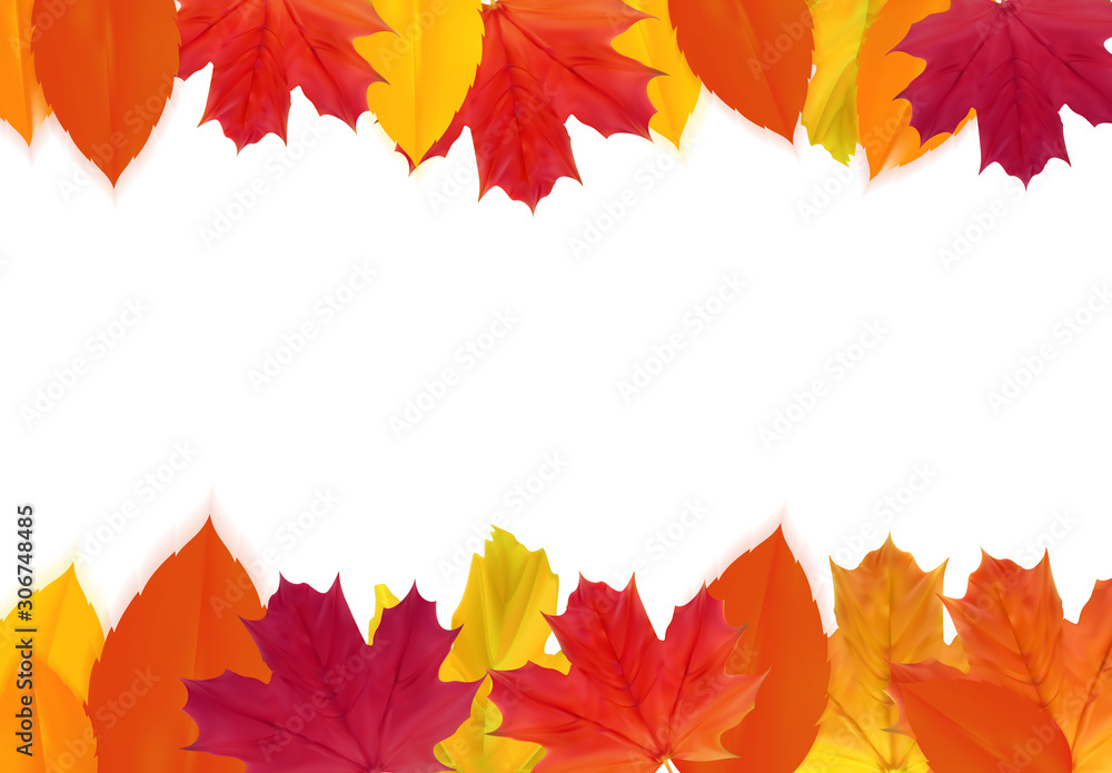 Shiny Autumn Natural Leaves Background. Vector Illustration