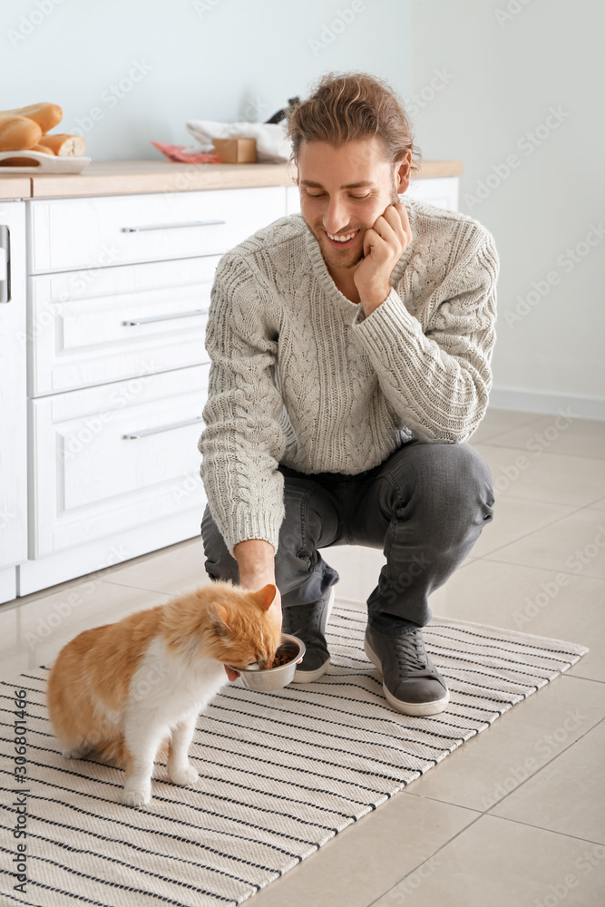 男人在厨房喂可爱的猫