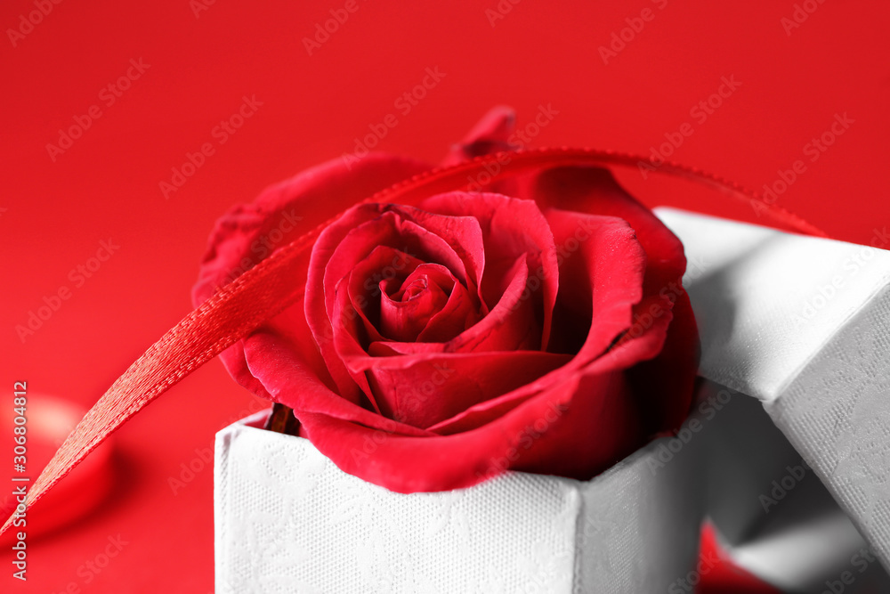 Box with rose flower on color background, closeup. Valentines Day celebration