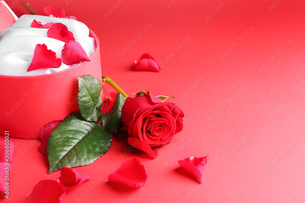 Beautiful rose and gift on color background. Valentines Day celebration