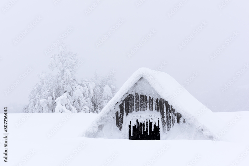 雪屋奇景