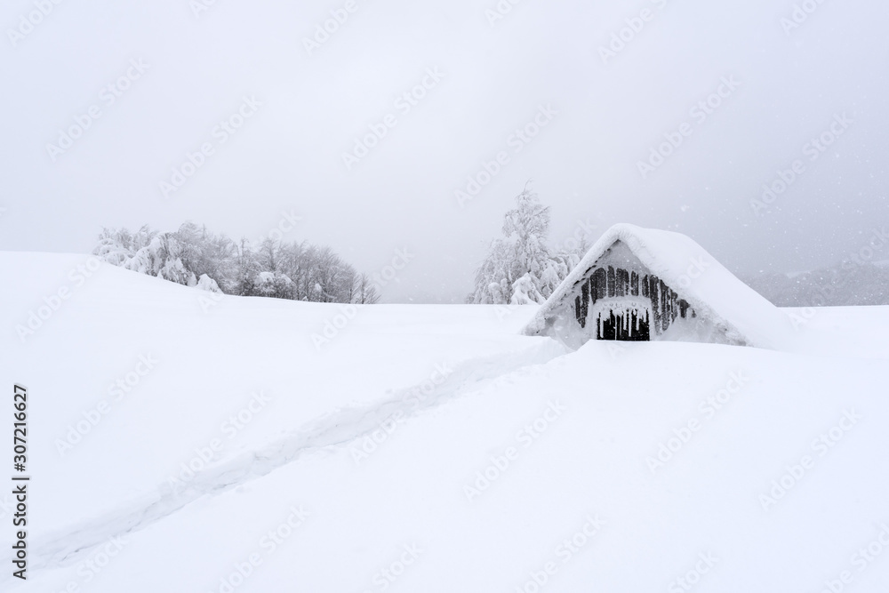 Fantastic landscape with snowy house