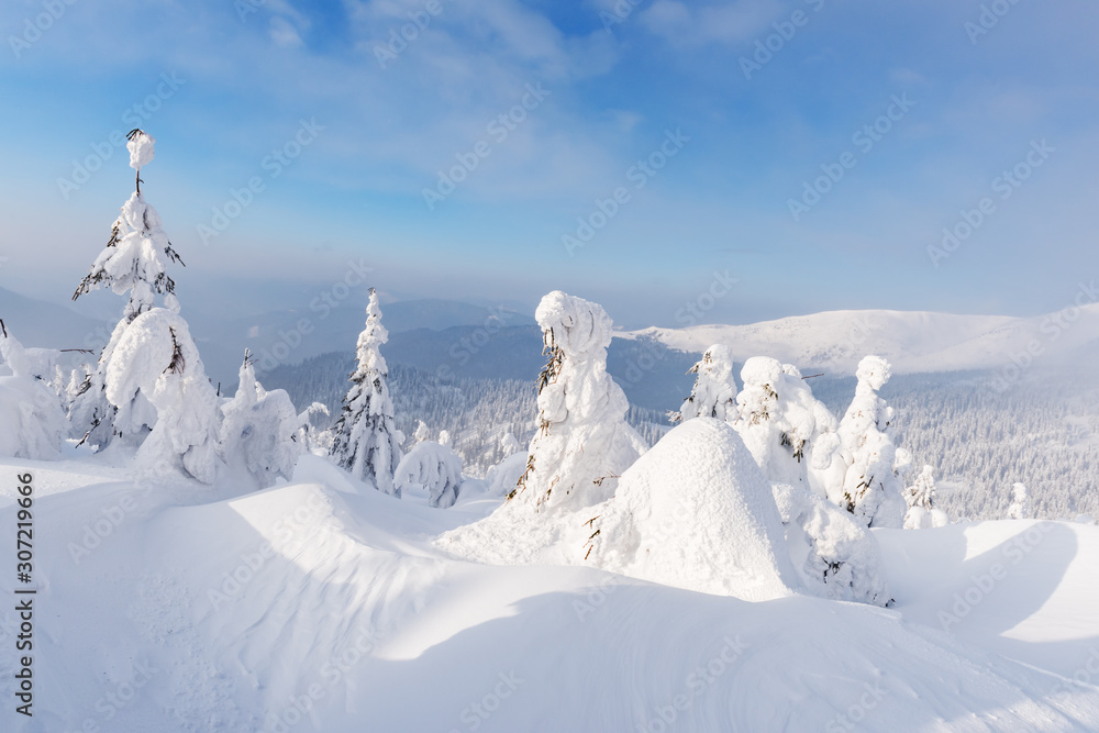 Fantastic winter landscape