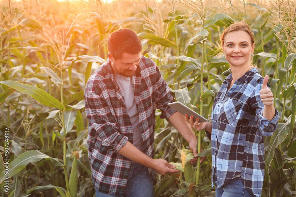 Agricultural engineers working in field