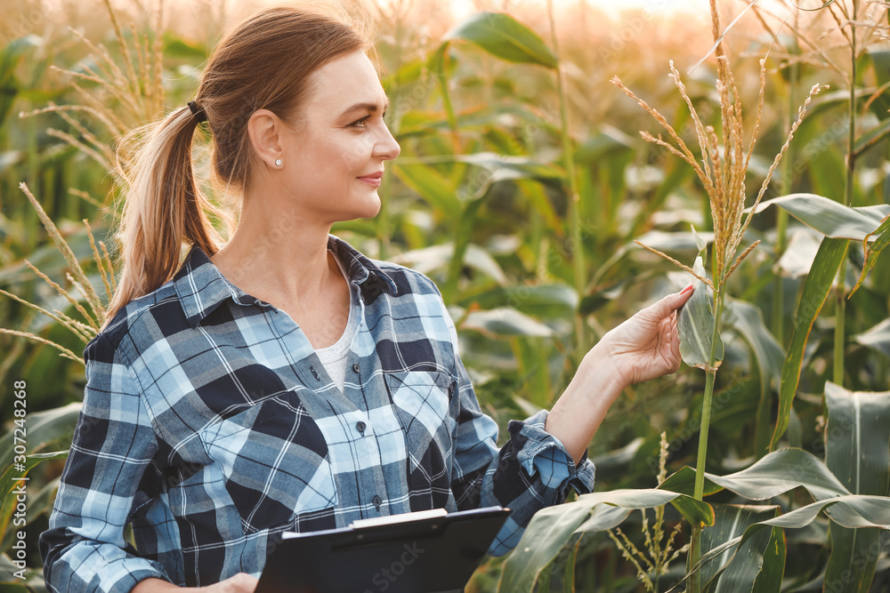 Female agricultural engineer working in field