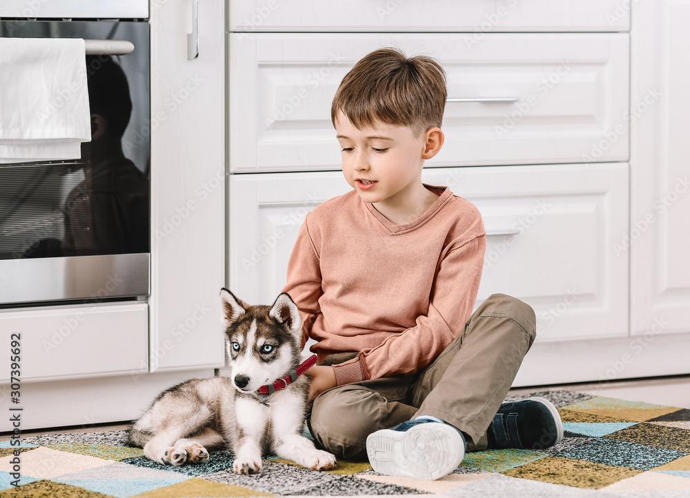 Little boy with cute husky puppy in kitchen