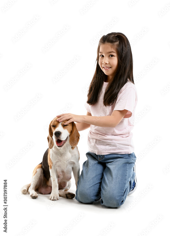 Little Asian girl with cute beagle dog on white background