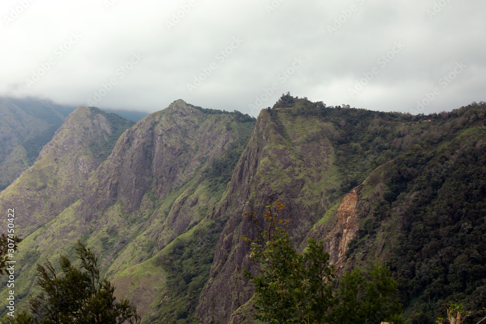 山景