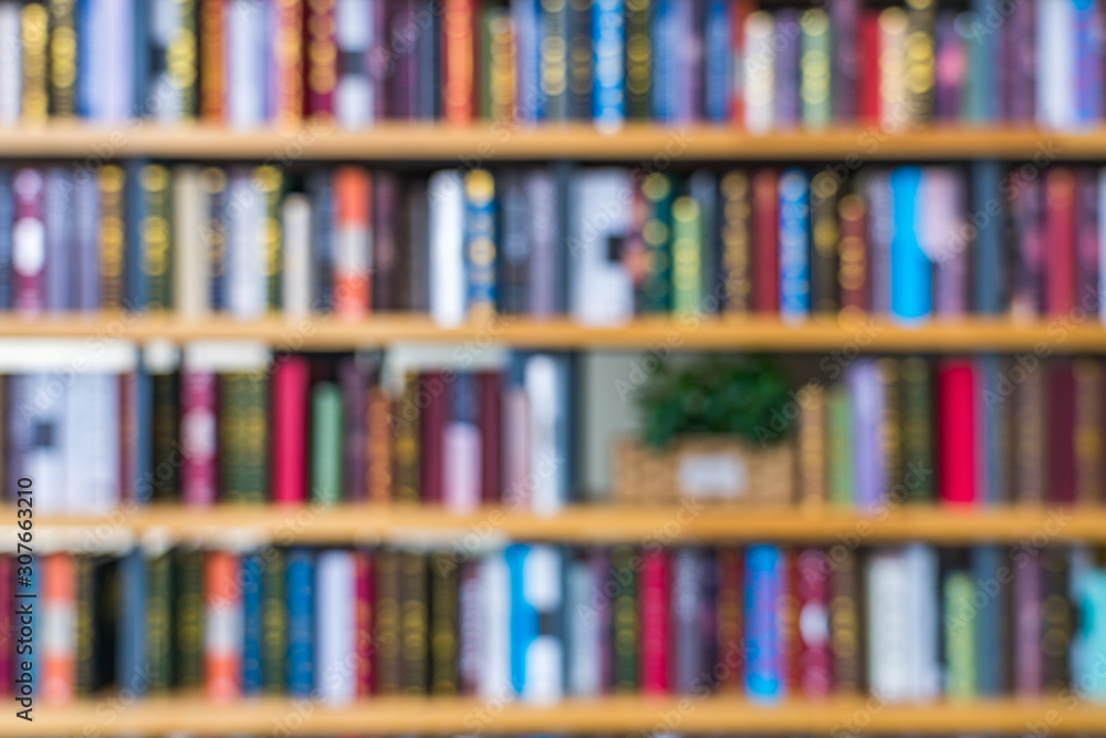 A row of English books on a library shelf in the sun