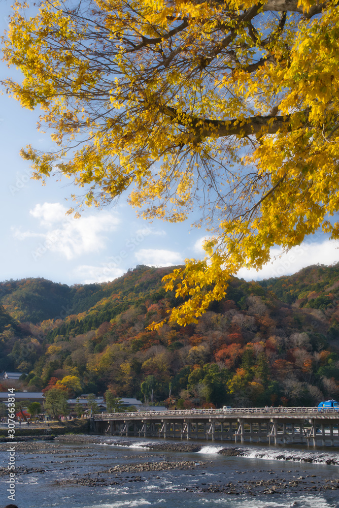 秋の京都 嵐山 渡月橋と紅葉