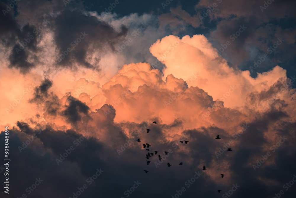 Colorful dramatic sky with cloud and slihouette bird at sunset.