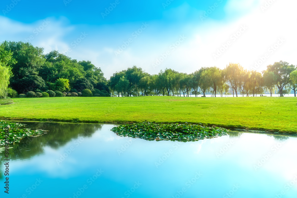 Park, lake, grassland and forest..