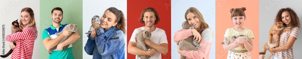 Collage with different people and their cute cats on color background