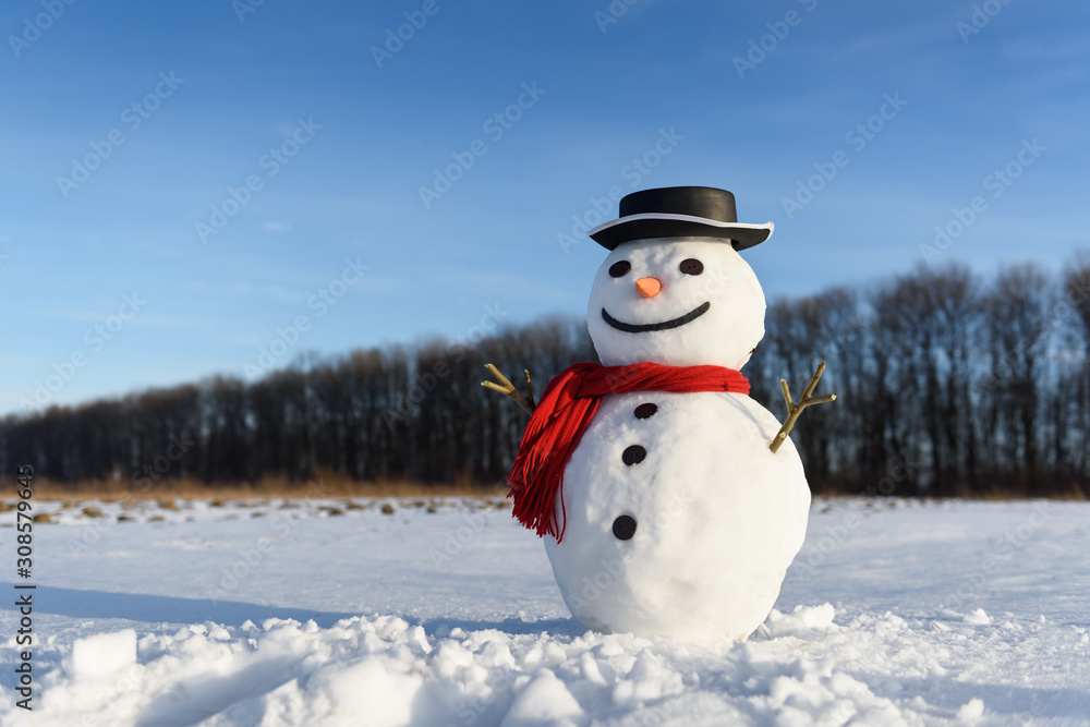 雪地上戴着时髦的黑色帽子和红色鳞片的有趣雪人。圣诞快乐，新年快乐