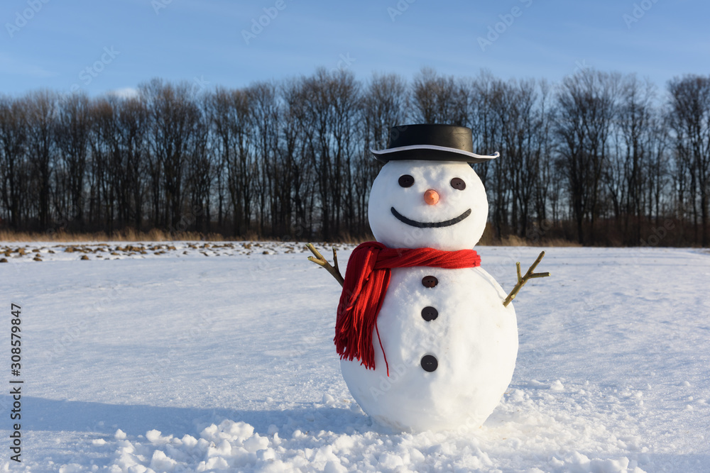 雪地上戴着时髦的黑色帽子和红色鳞片的有趣雪人。圣诞快乐，新年快乐