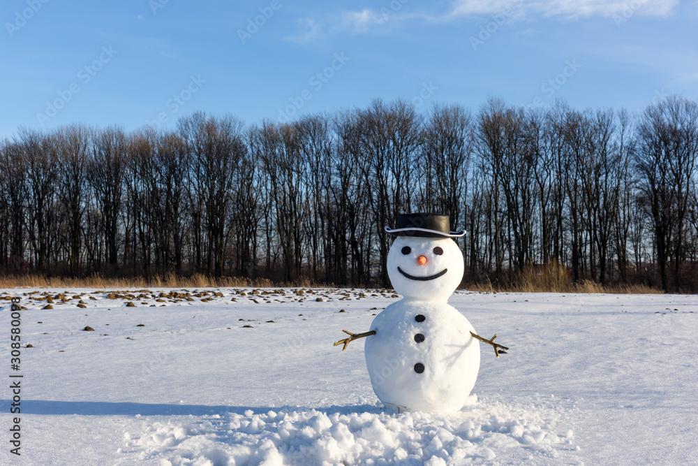 Funny snowman in stylish black hat on snowy field. Merry Christmass and happy New Year!