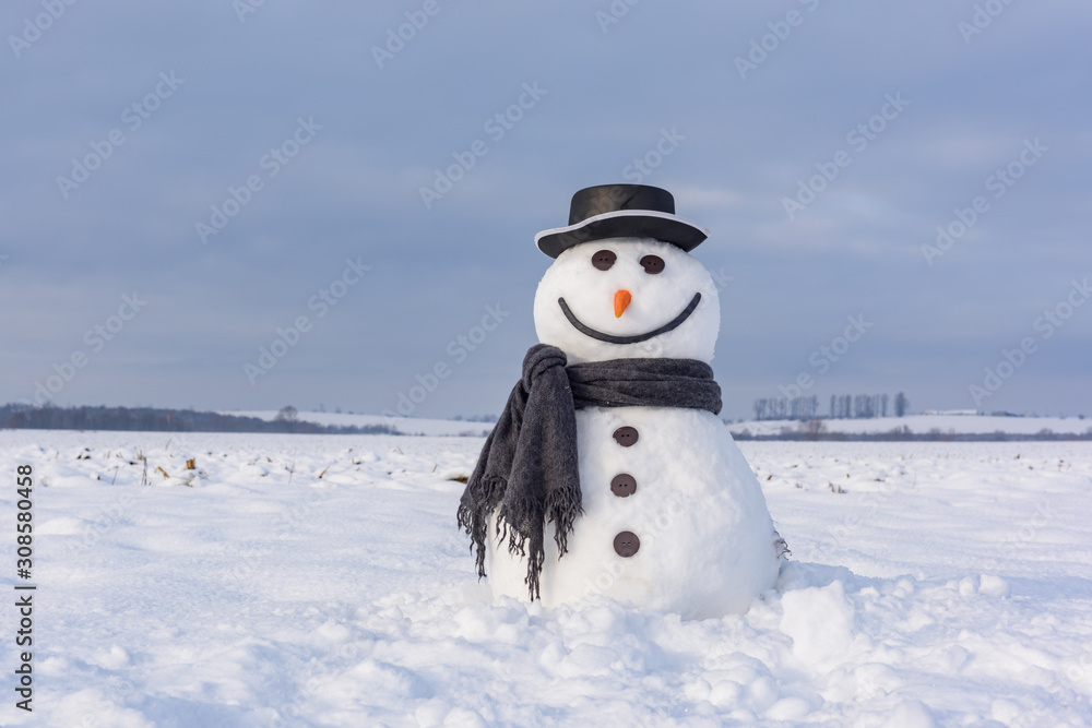 雪地上戴着时髦帽子和黑色鳞片的有趣雪人。圣诞快乐，新年快乐！