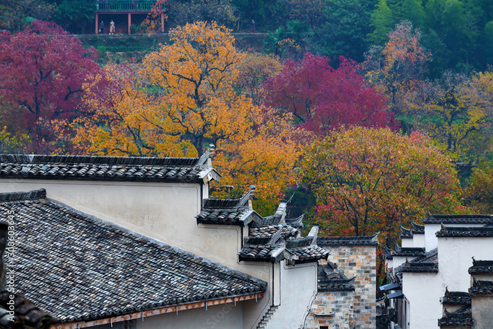 Hui-style architectures in fall forest on the hillside of China.