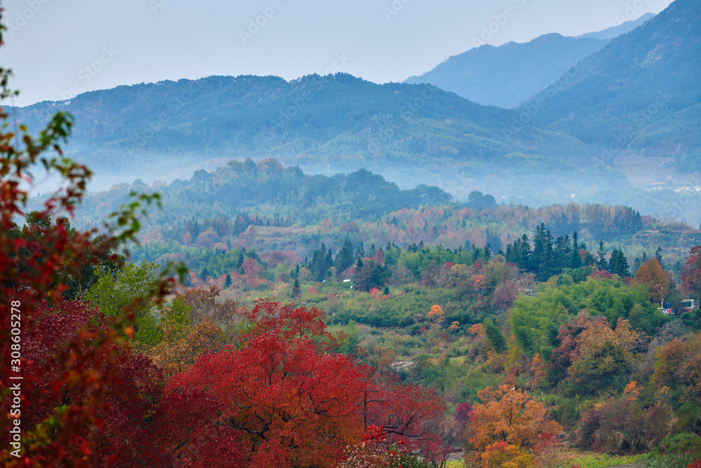 中国黄山市塔川的秋色。