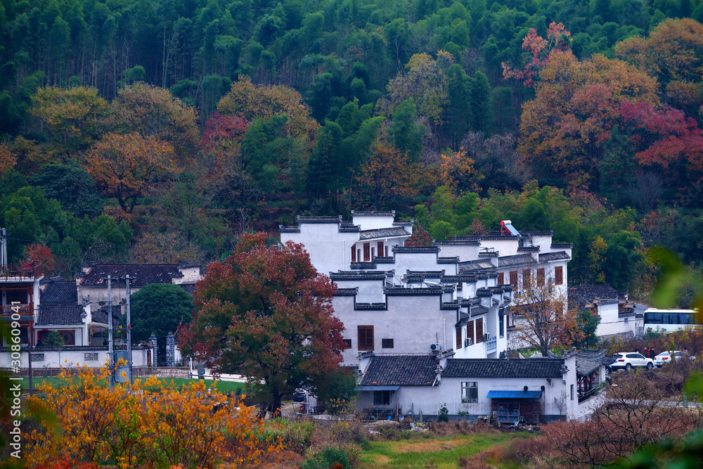 Hui-style architectures in fall forest on the hillside of China.