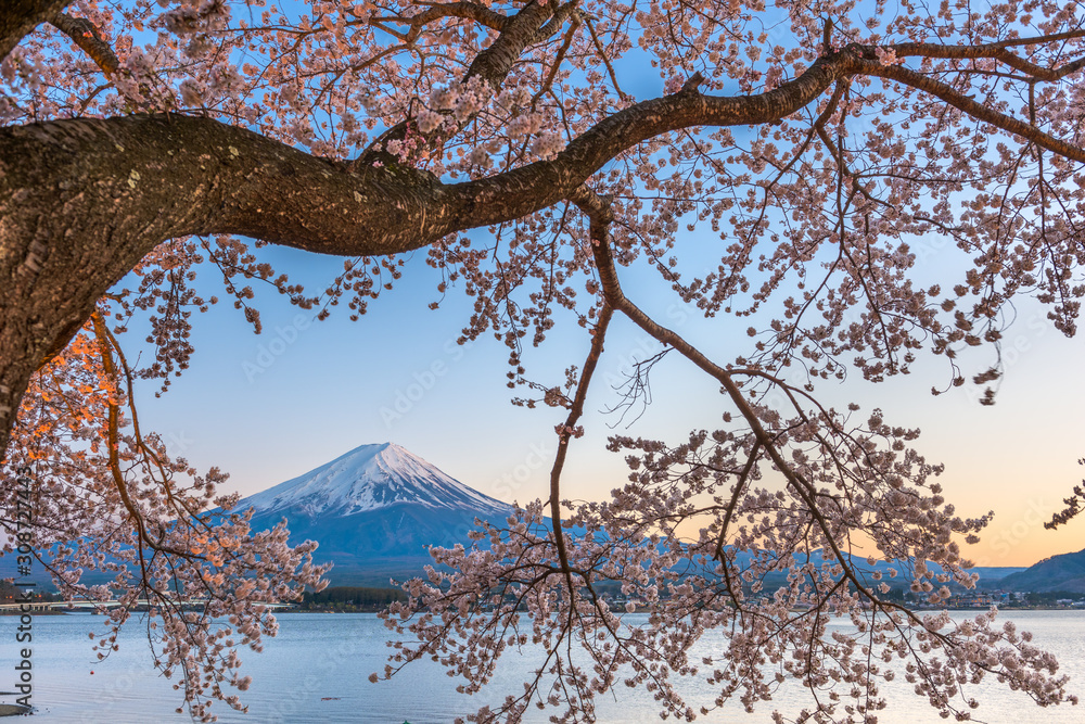 日本富士山河口湖