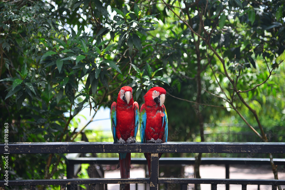 travel to China Hainan island