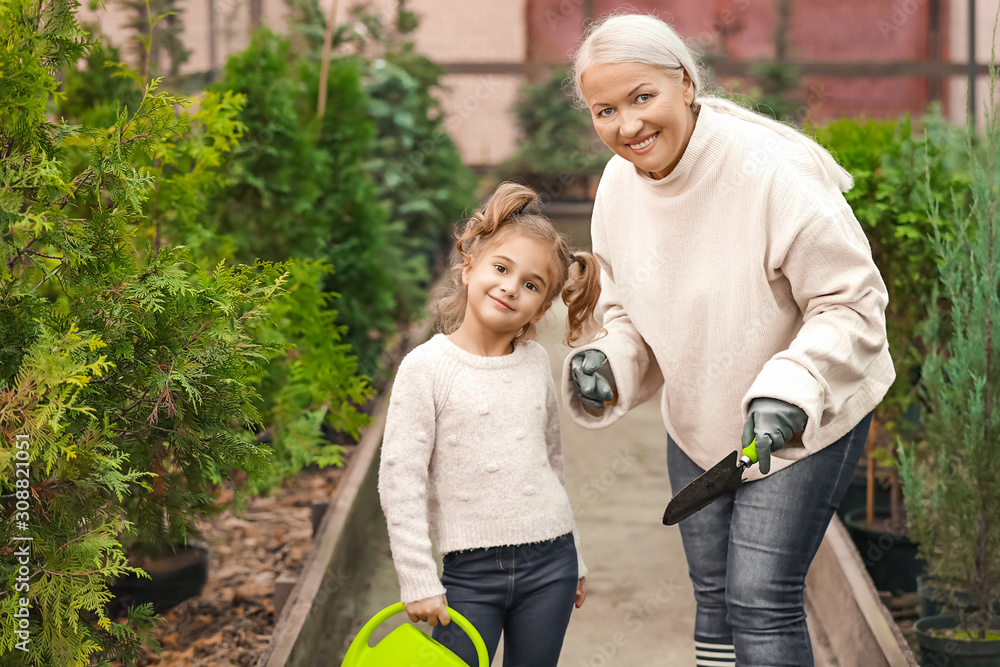 Cute little girl with grandmother in greenhouse