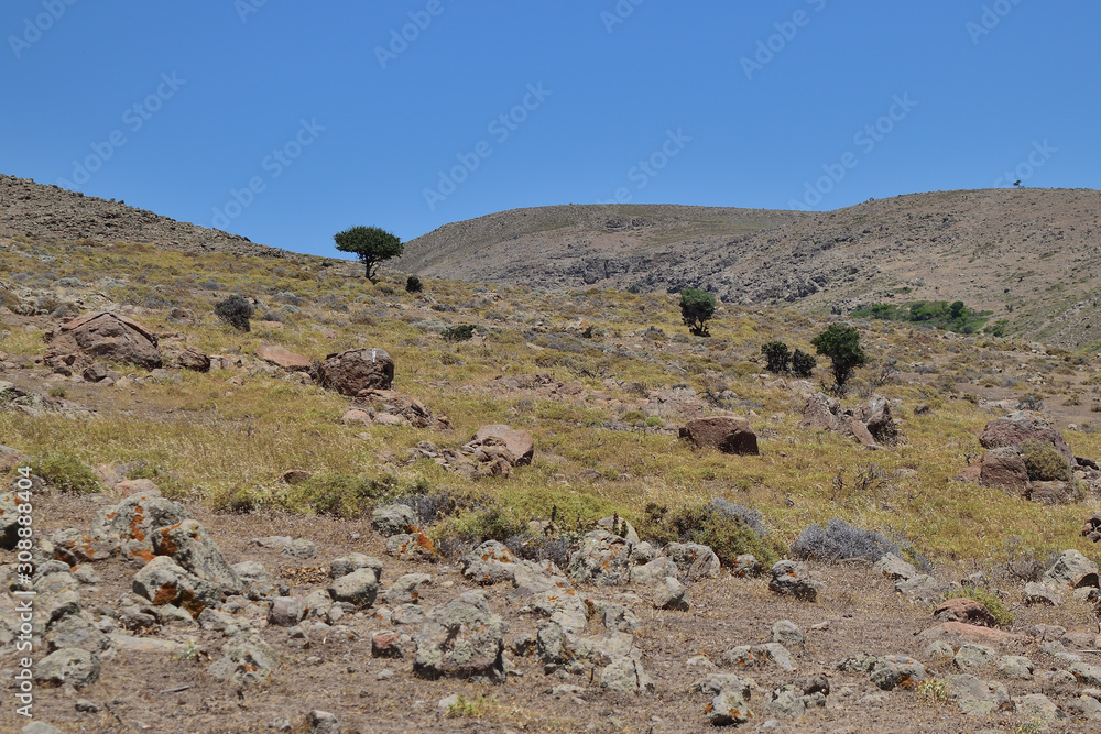 Kaya Mezari地区的半沙漠景观-土耳其爱琴岛Gokceada（Imbros）