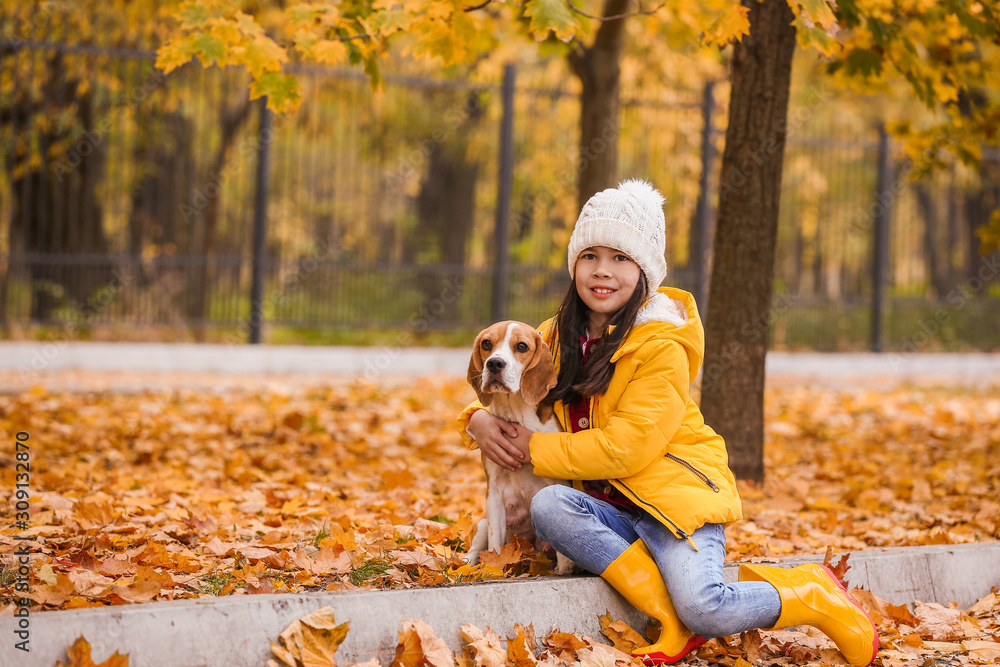 亚洲小女孩与可爱的比格犬在秋季公园