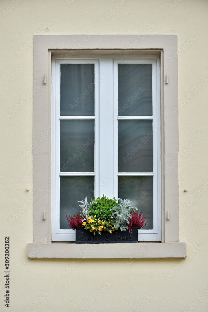 A pot of yellow flowers stands on a windowsill from the street side in a European city