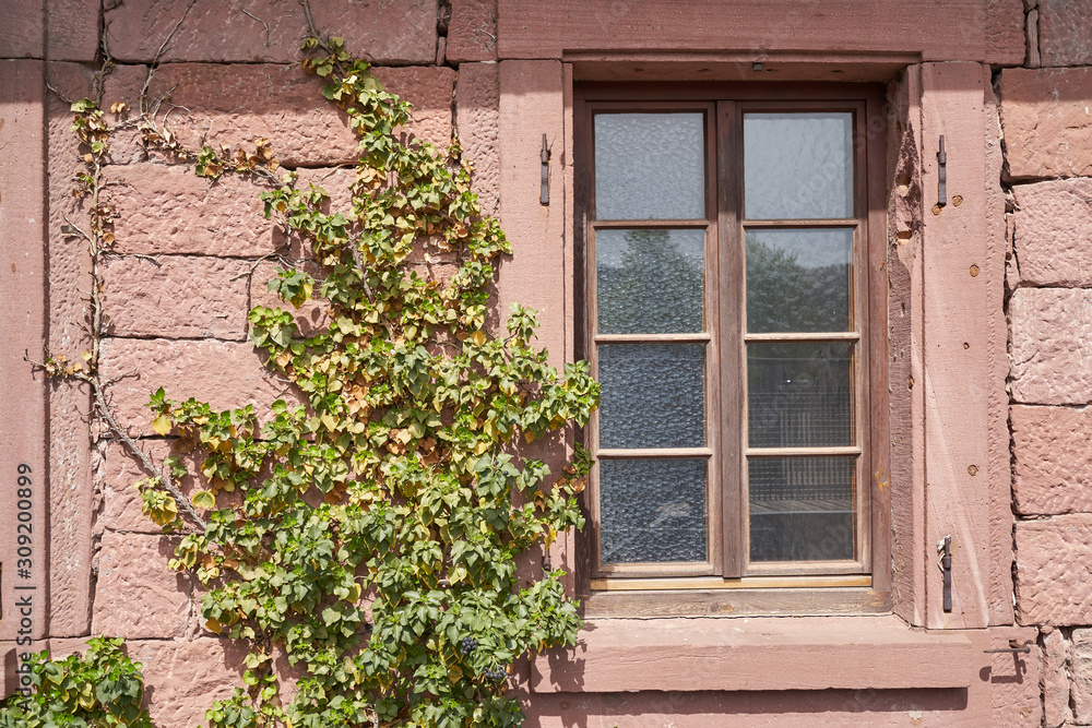 A wall of stone blocks and a window of an old building. Castle wall with window and climbing plant i