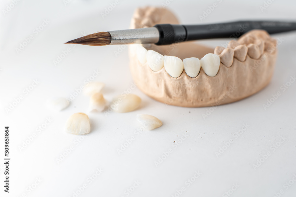 Close-up on plaster model of artificial jaw with teeth and paintbrush on the white background. Conce