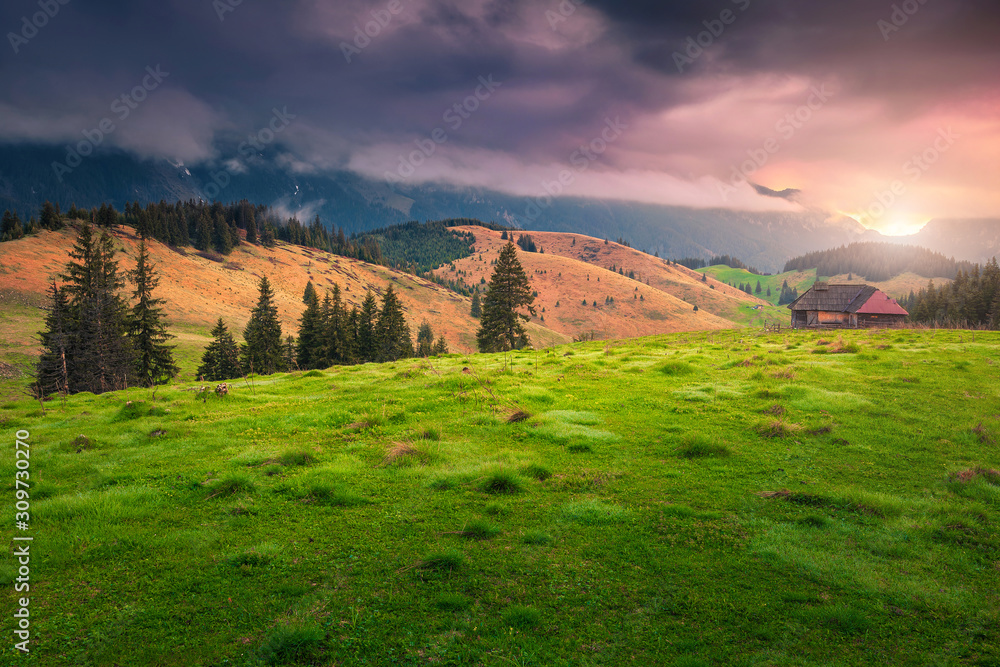 Stunning alpine pasture with misty mountains at sunset, Transylvania, Romania