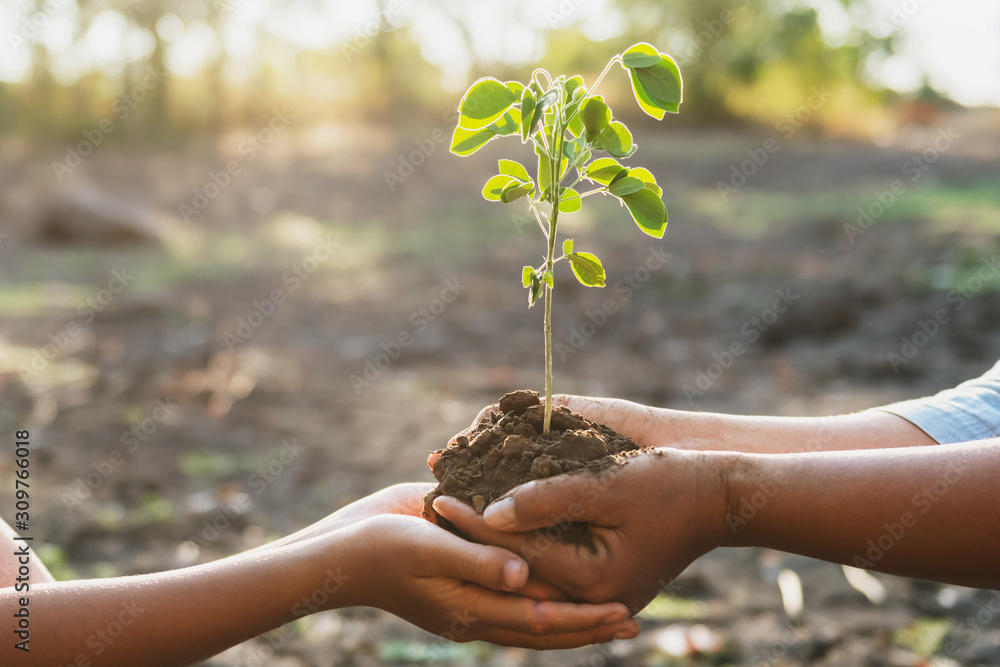 two hand holding young for planting in garden. concept save world