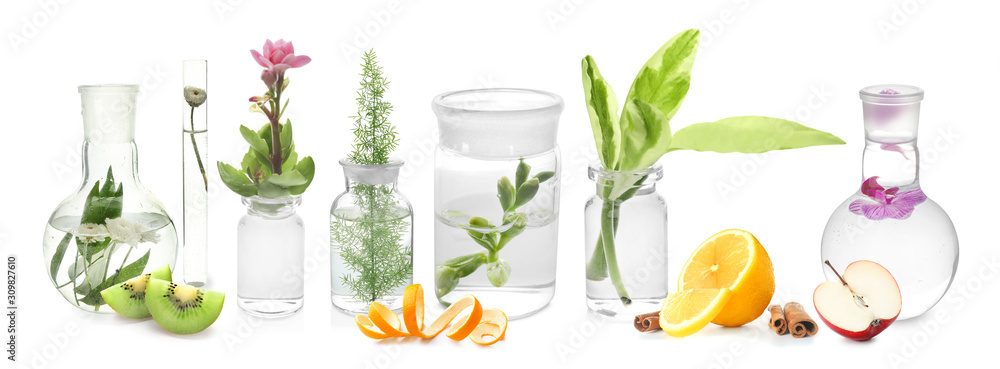 Glass flask with plant on white background