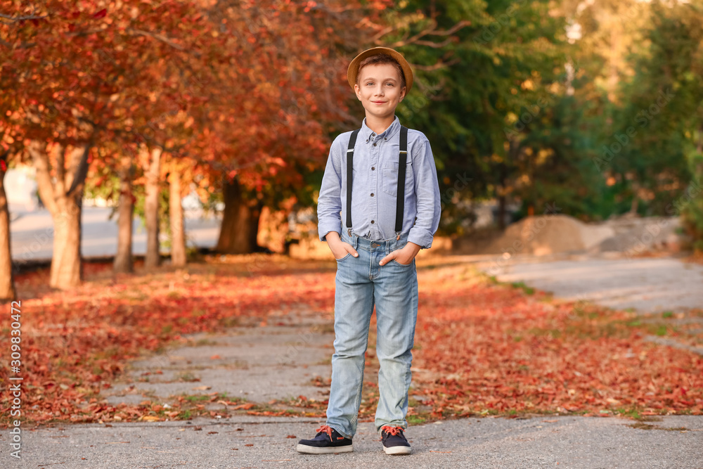 Cute fashionable boy in autumn park