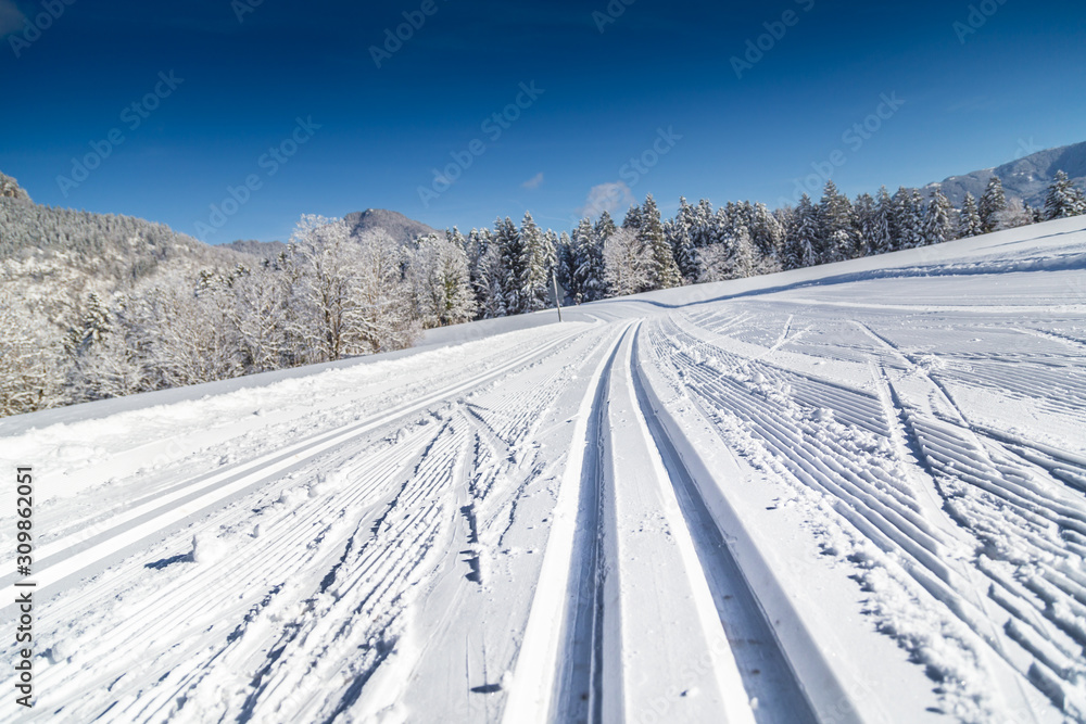 冬季越野滑雪道景观