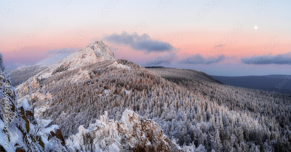 美丽的冬季景观，白雪皑皑的树木