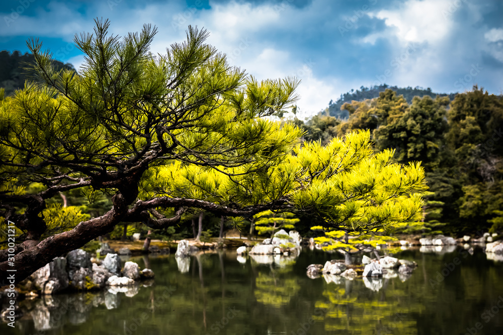 金阁（近阁寺）池塘-日本京都