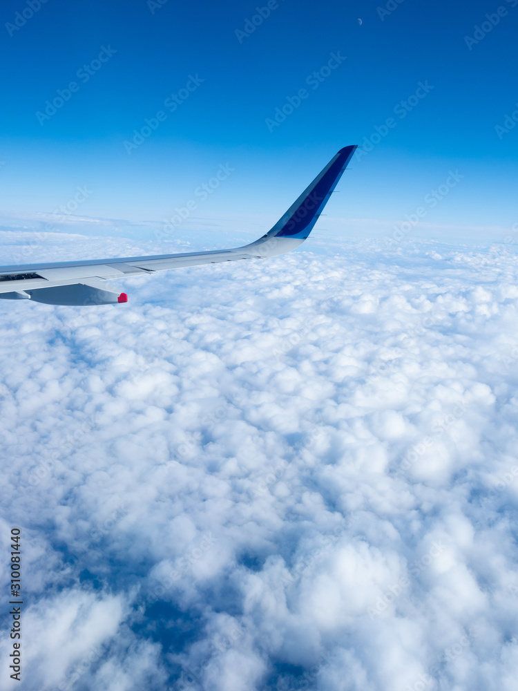 空撮　雲海