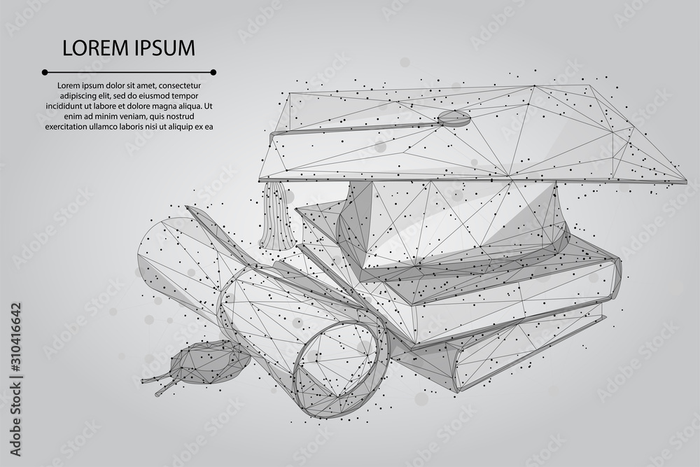 抽象的泥线和点毕业帽，书籍和文凭。多边形电子学习远程毕业生