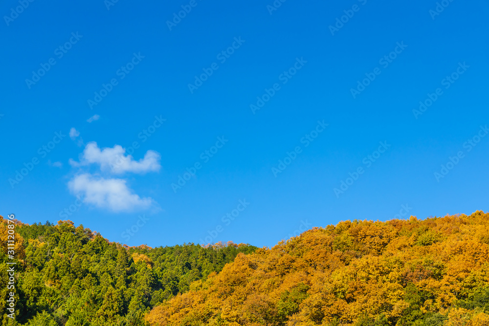 青空と美しく紅葉した山