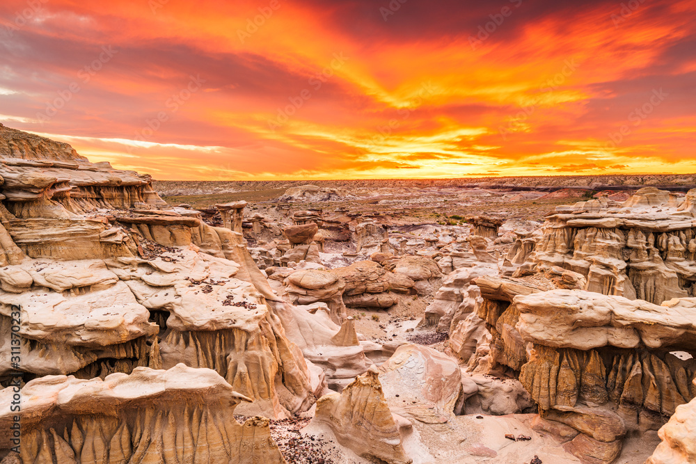 美国新墨西哥州Bisti Badlands，hoodoo岩层